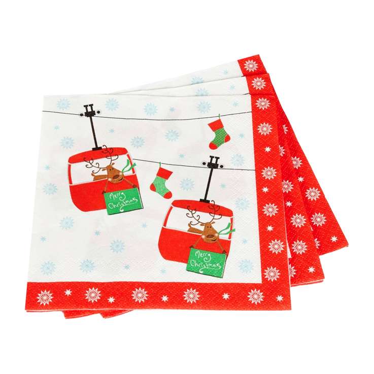 Paper Napkins (33x33cm) 16 Pack - Festive Fun