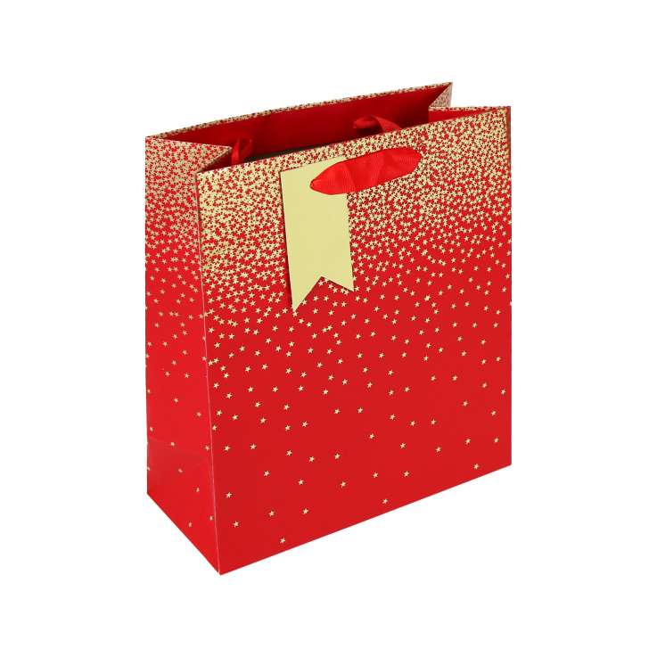 Medium Gift Bags (21.5cm x 25.3cm) - Red Ombre