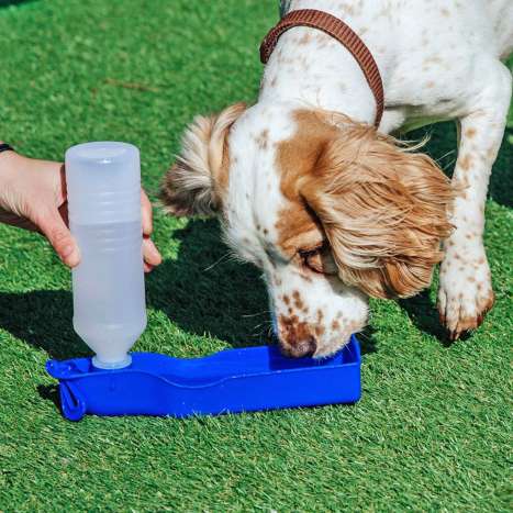 The Pet Store Portable Water Bottle (250ml) - Assorted Colours